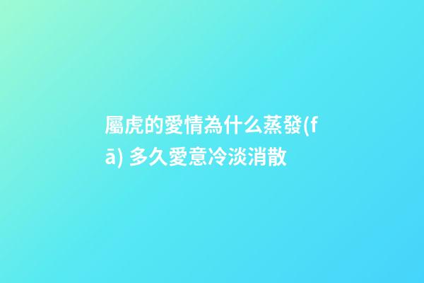 屬虎的愛情為什么蒸發(fā) 多久愛意冷淡消散